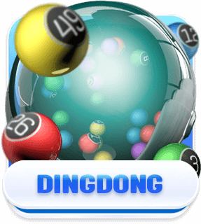 dingdong
